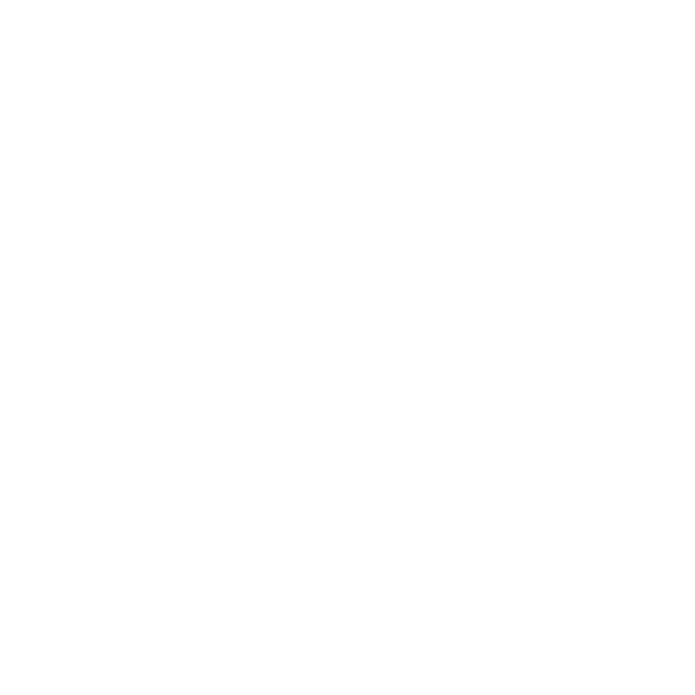 Spotless Summits Detailing LLC